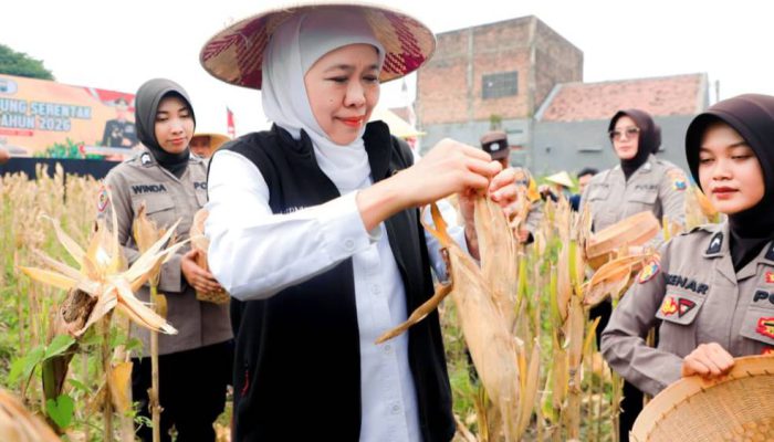 Gubernur Khofifah: Jawa Timur Siap Jadi Penggerak Swasembada Jagung Nasional 2026