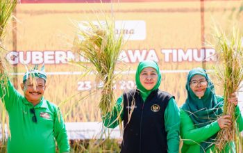 Gubernur Khofifah Dorong Sinergi Daerah Hadapi Kemarau, Pertanian Jatim Jangan Sampai Turun
