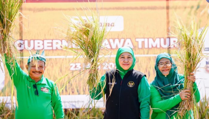 Gubernur Khofifah Dorong Sinergi Daerah Hadapi Kemarau, Pertanian Jatim Jangan Sampai Turun