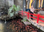 Nyaman dan Lengkap, Andaliman Resto Kediri Jadi Favorit Quality Time Keluarga