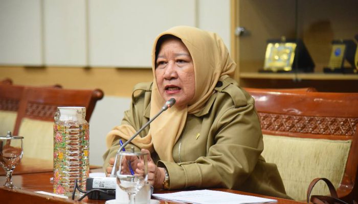 DPR Usulkan Dewan Advokat Nasional untuk Perketat Etik dan Pengawasan Advokat