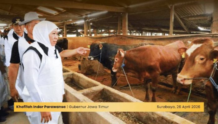 Gubernur Khofifah Pastikan SDM dan Infrastruktur Pemotongan Hewan Kurban Siap Maksimal
