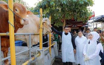 Gubernur Khofifah Tinjau Peternakan Mojokerto, Temukan Sapi Unggulan Nyaris 1 Ton