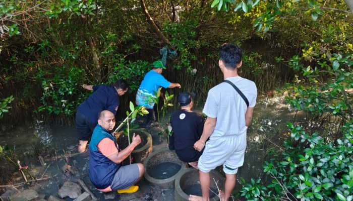 PT Terminal Petikemas Surabaya Dukung Penghijauan Pesisir dengan 3.000 Bibit Mangrove