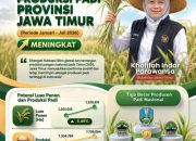 Potensi Panen Padi Jatim Naik 5,49 Persen, Gubernur Khofifah : Perkokoh Posisi Sebagai Lumbung Pangan Nasional