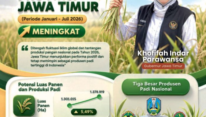 Potensi Panen Padi Jatim Naik 5,49 Persen, Gubernur Khofifah : Perkokoh Posisi Sebagai Lumbung Pangan Nasional