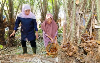Gubernur Khofifah Apresiasi Salak Madu Wonoagung, Permintaan Tinggi Jadi Peluang Ekonomi Baru