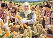 Jatim Konsisten Jadi Produsen Padi Tertinggi Nasional, Khofifah Apresiasi Perjuangan Petani